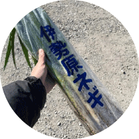 記事画像2