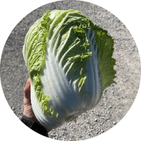記事画像3