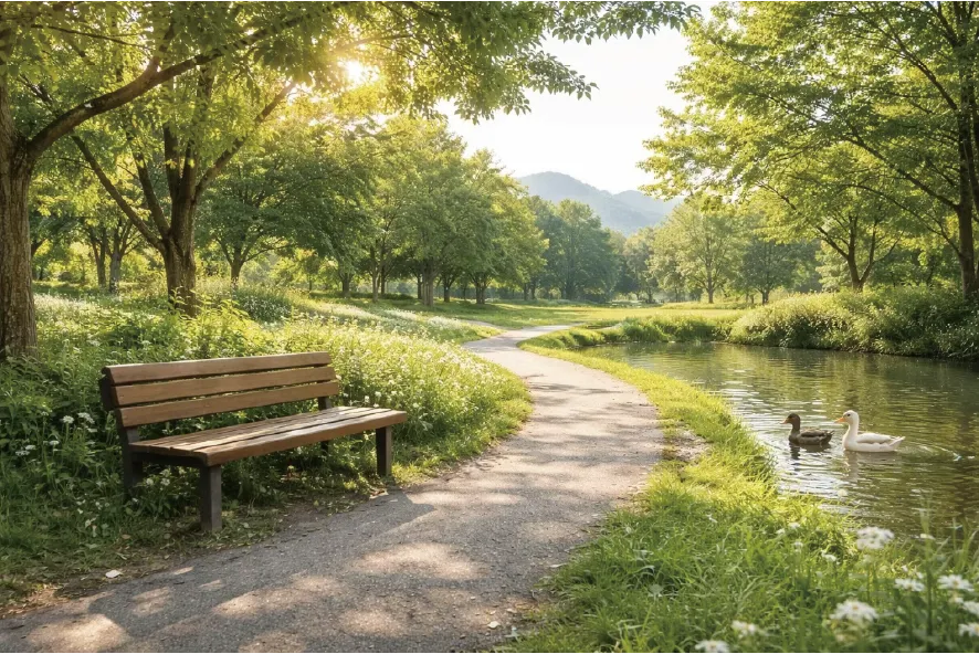 ▪️歩くのが不安でも外出したい人におすすめの方法